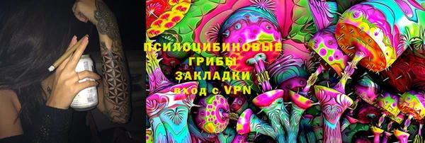 дживик Нягань