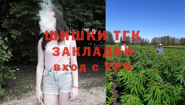 шишки Баксан