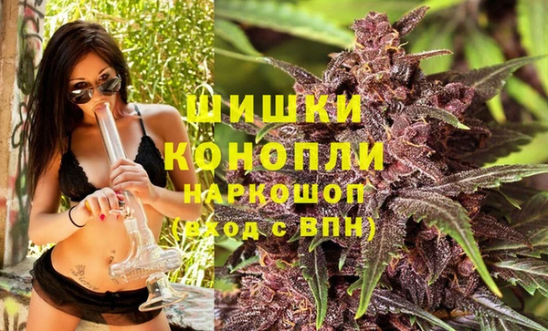дживик Нягань