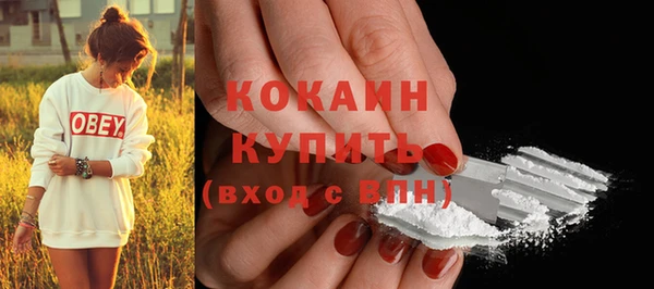 шишки Баксан