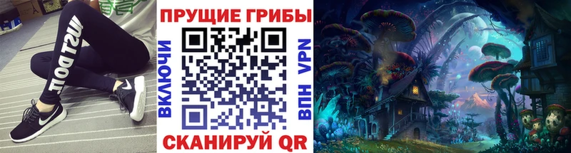 сайты даркнета состав  Строитель  Галлюциногенные грибы Psilocybe 
